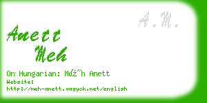 anett meh business card